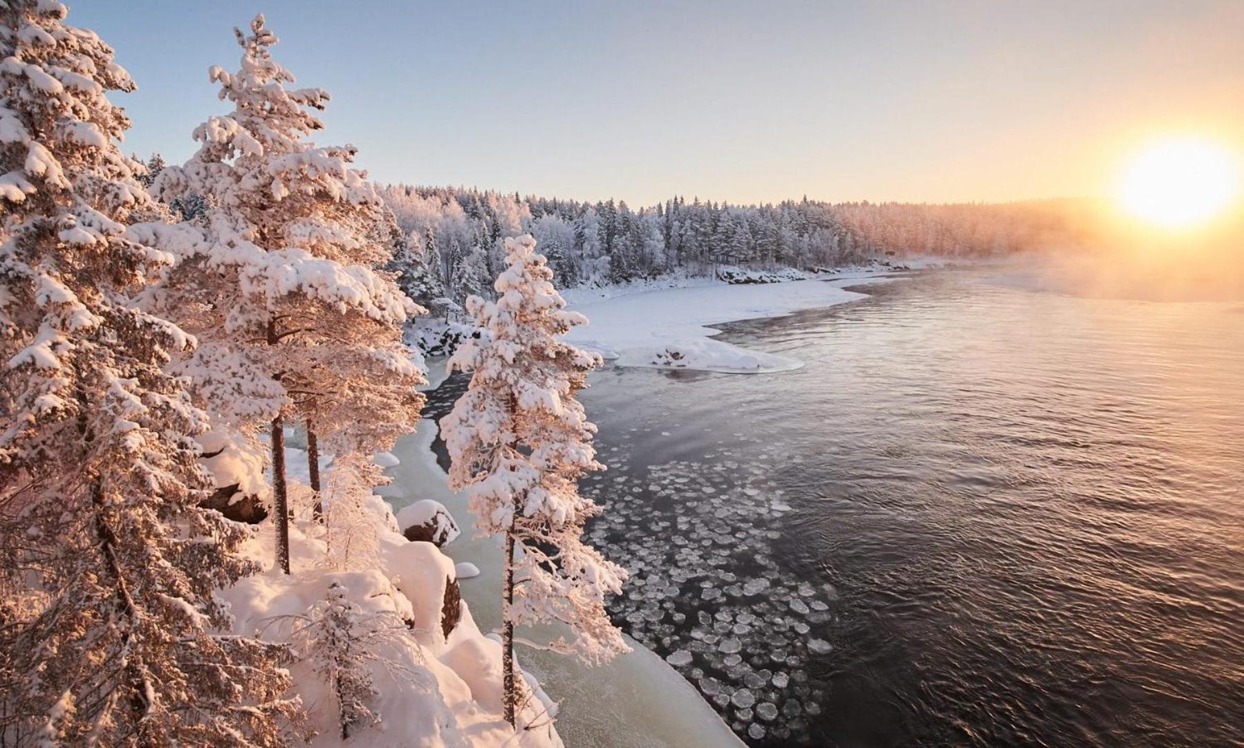 Skog Aurora Igloos Villa Kalix Bagian luar foto