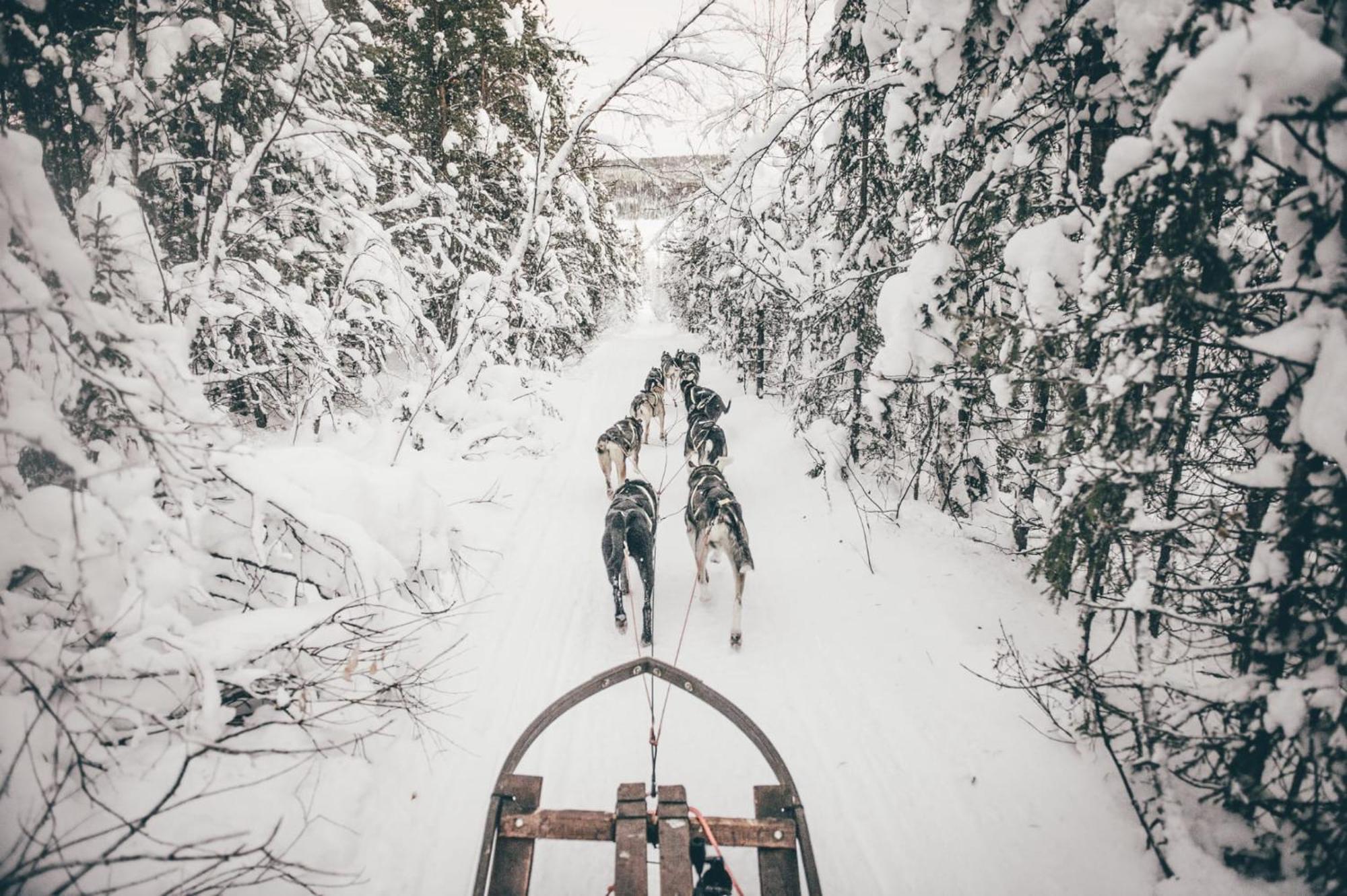 Skog Aurora Igloos Villa Kalix Bagian luar foto