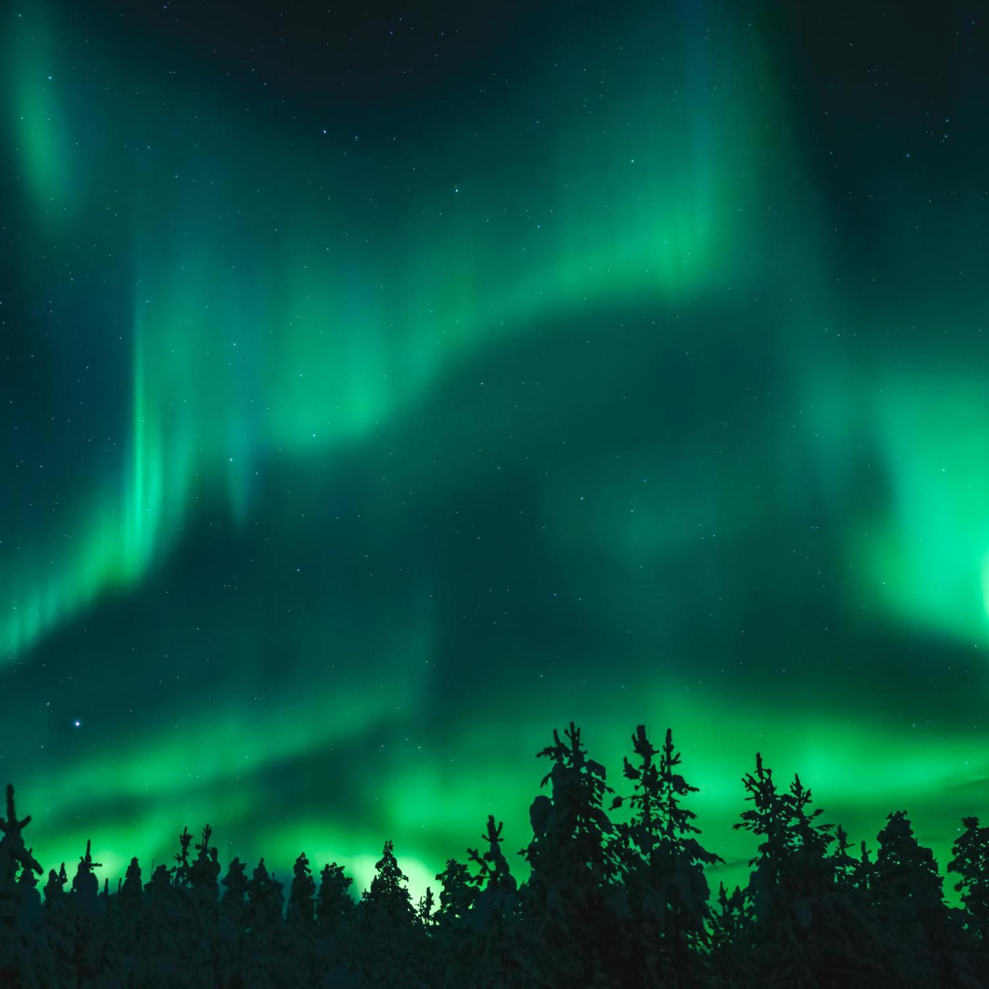 Skog Aurora Igloos Villa Kalix Bagian luar foto