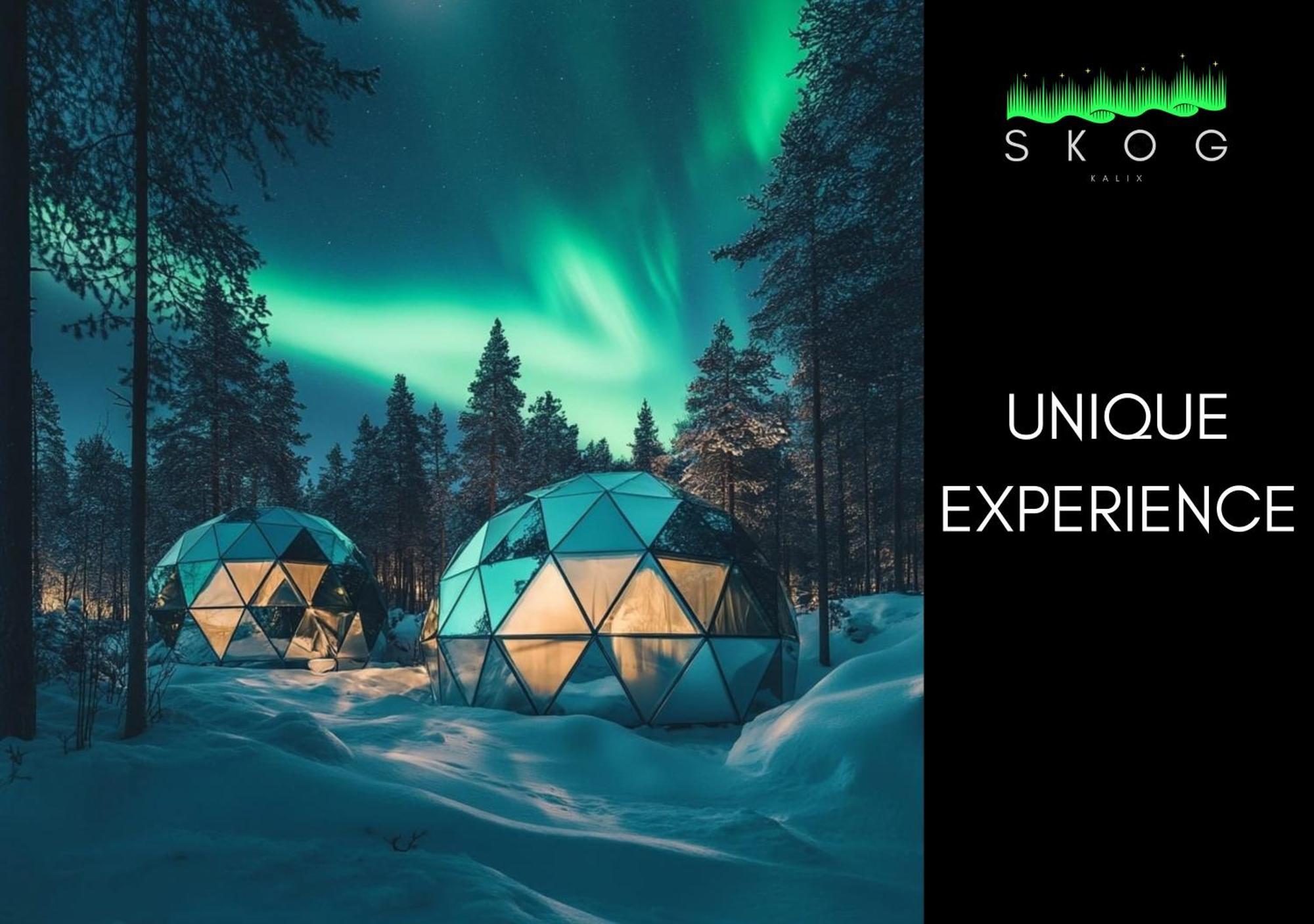 Skog Aurora Igloos Villa Kalix Bagian luar foto