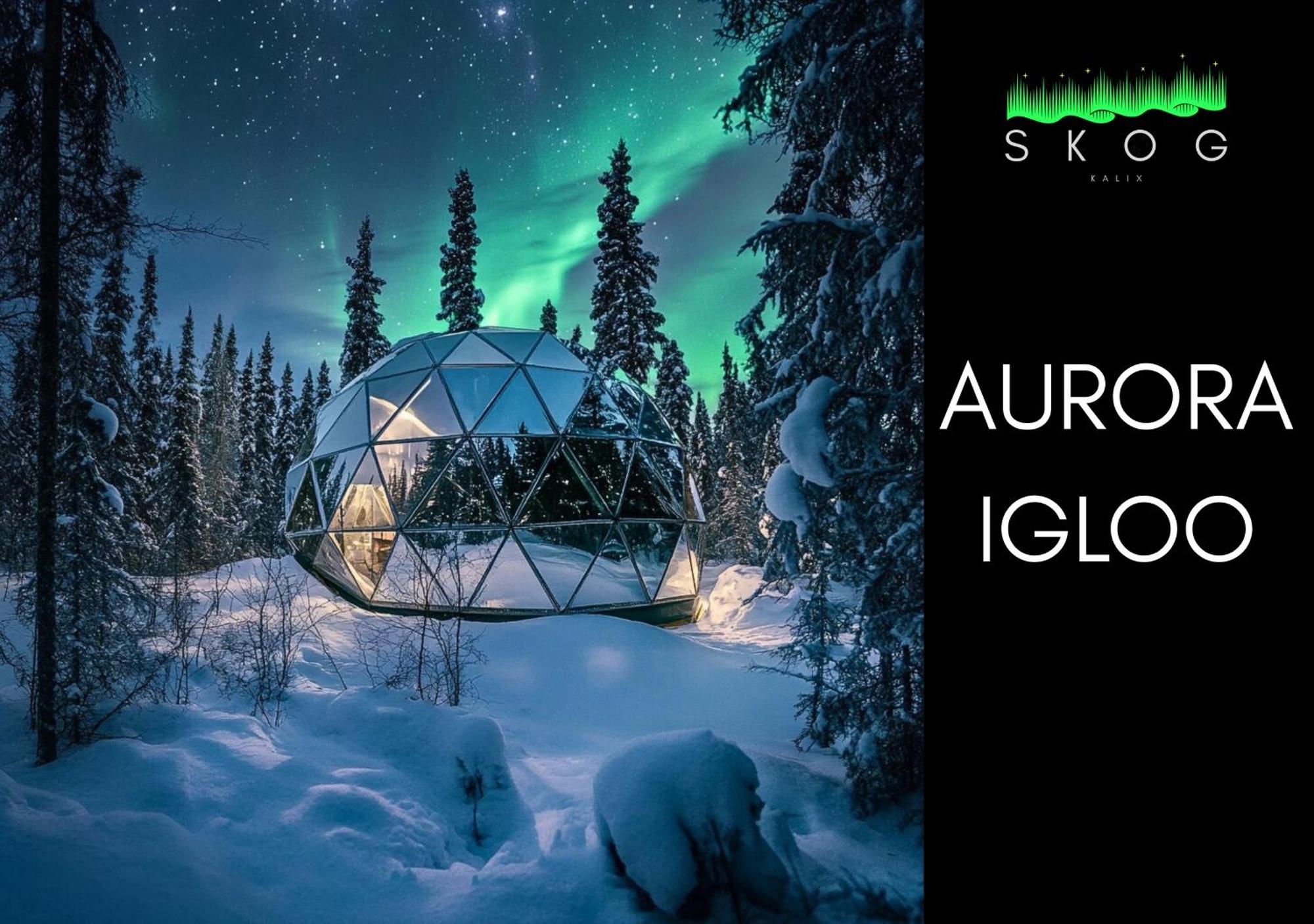 Skog Aurora Igloos Villa Kalix Bagian luar foto