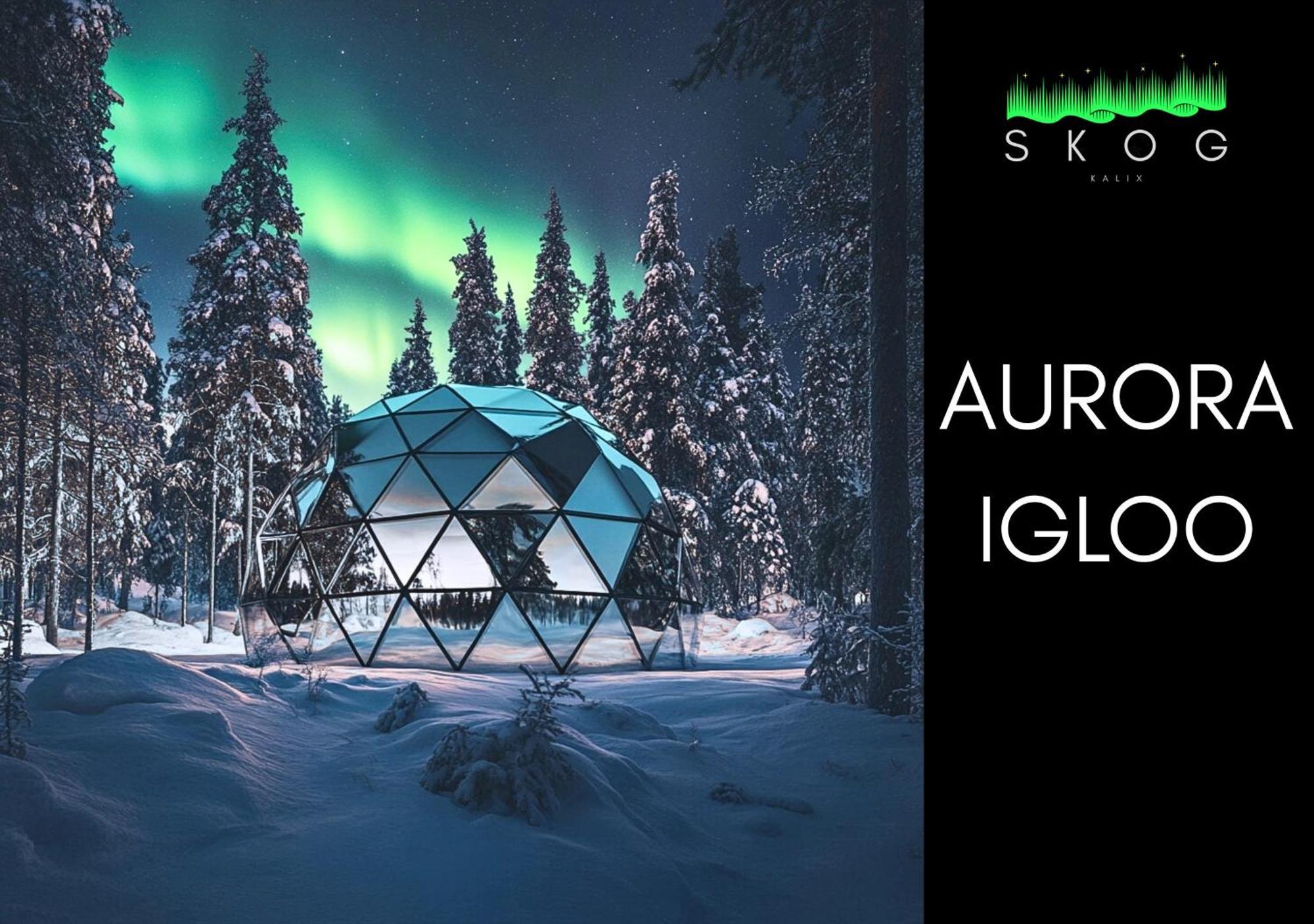 Skog Aurora Igloos Villa Kalix Bagian luar foto