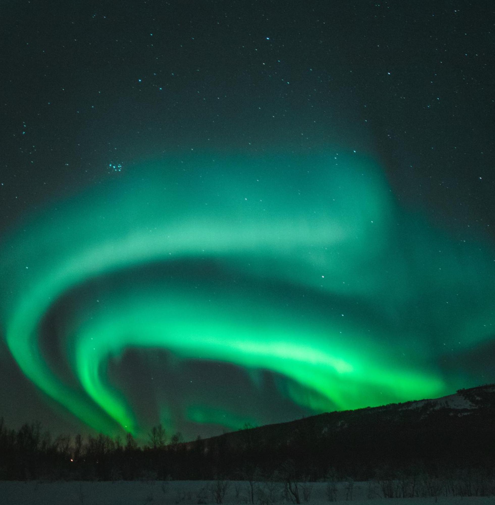 Skog Aurora Igloos Villa Kalix Bagian luar foto