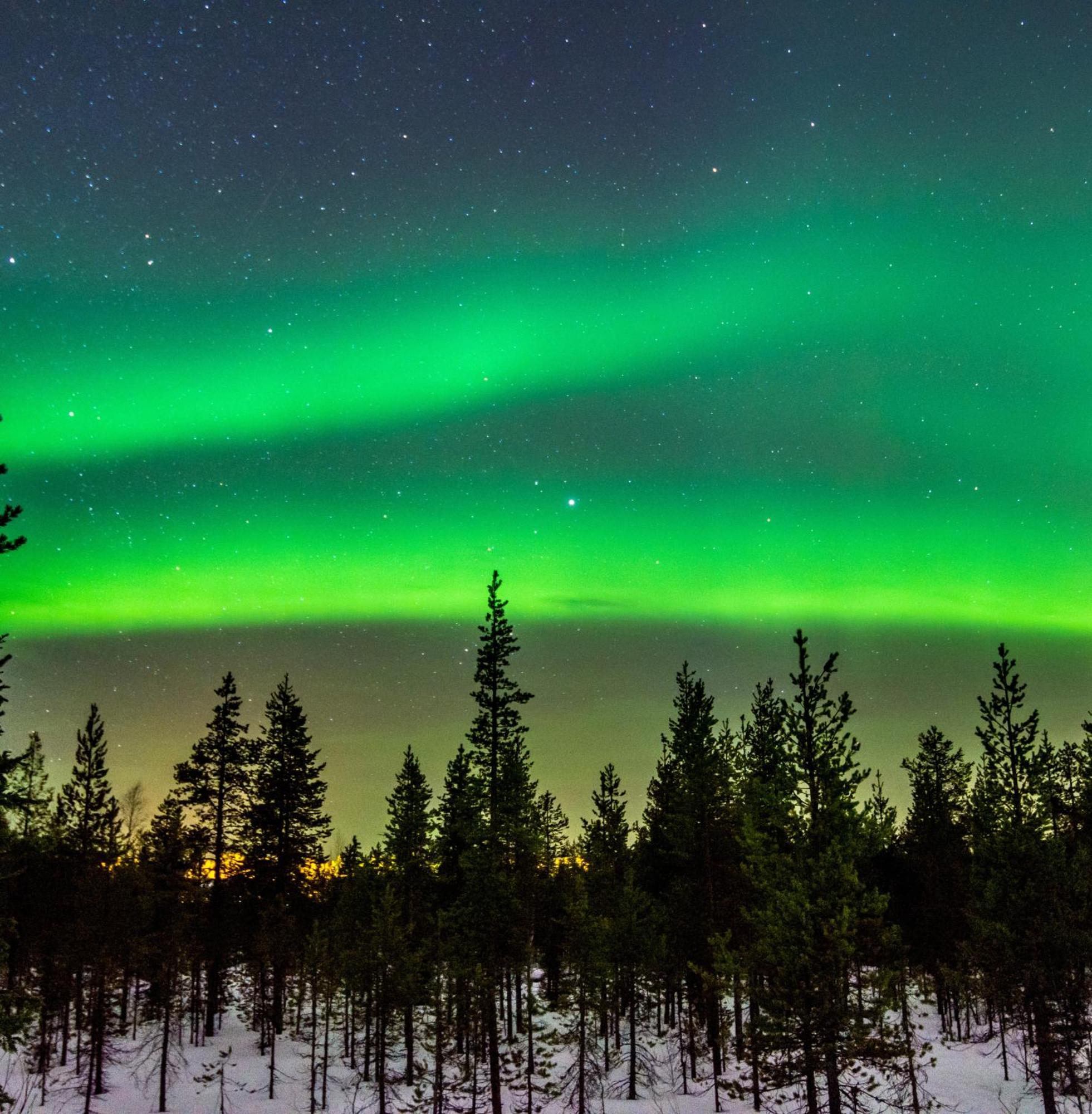Skog Aurora Igloos Villa Kalix Bagian luar foto