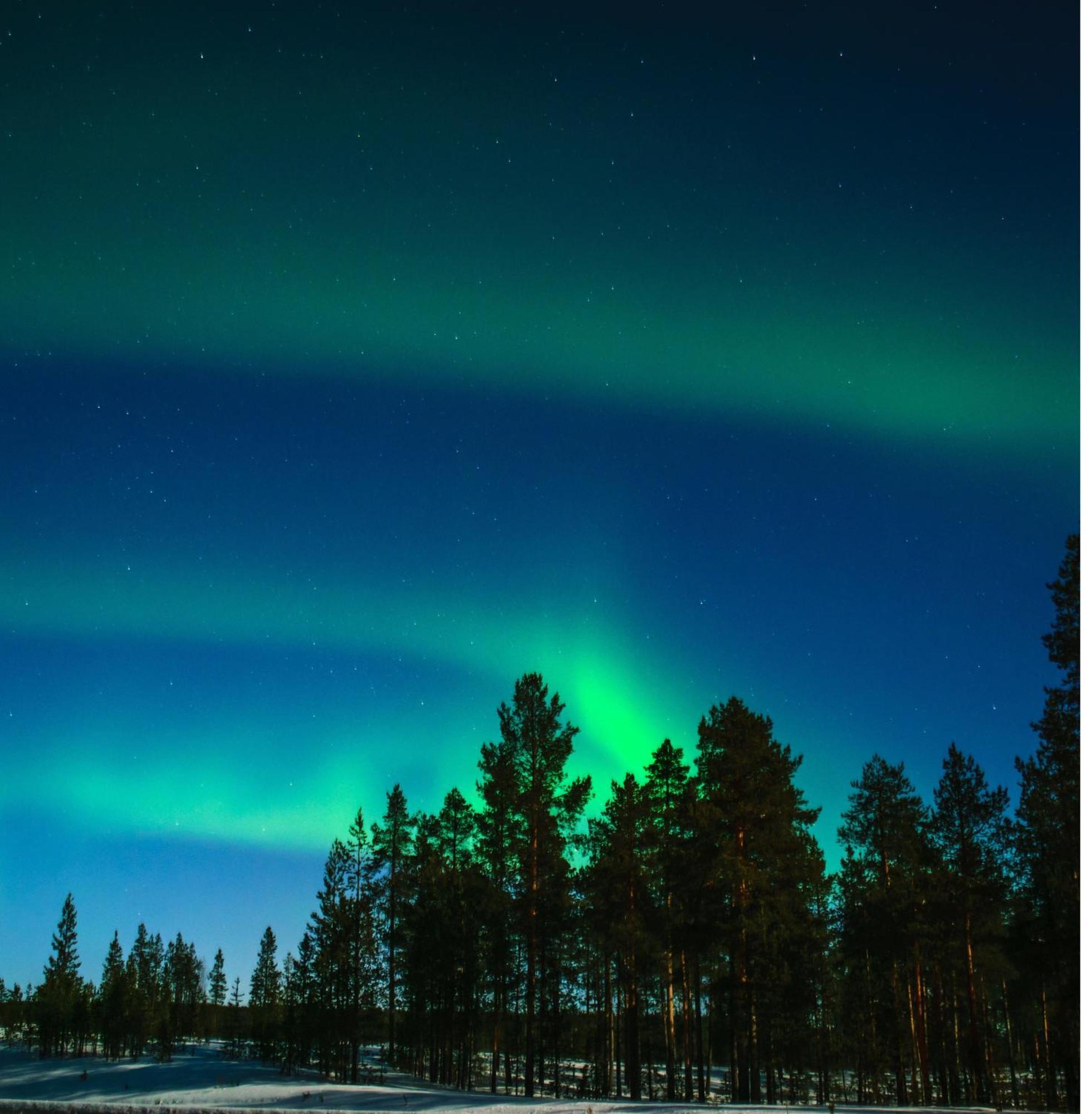 Skog Aurora Igloos Villa Kalix Bagian luar foto