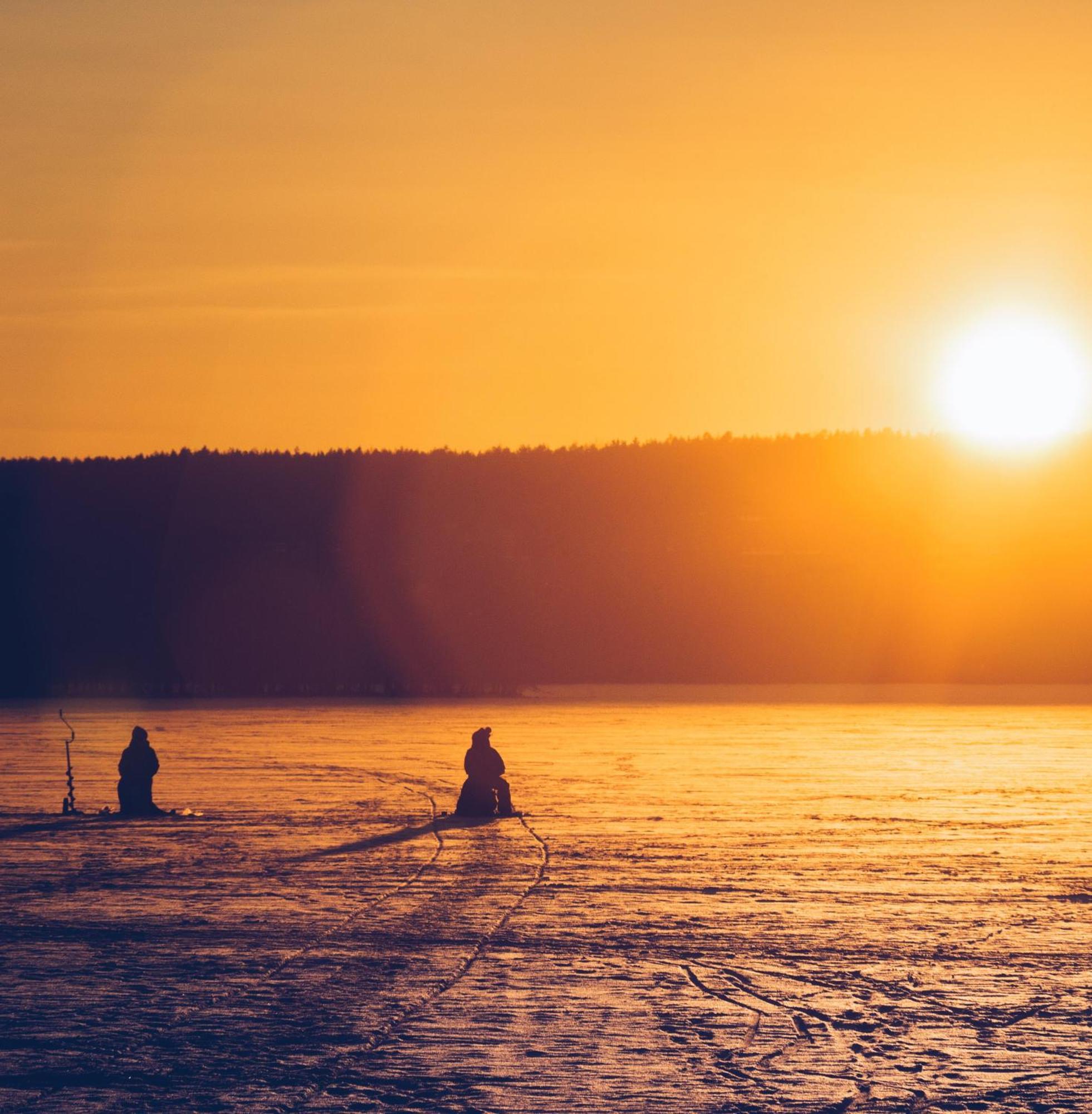 Skog Aurora Igloos Villa Kalix Bagian luar foto