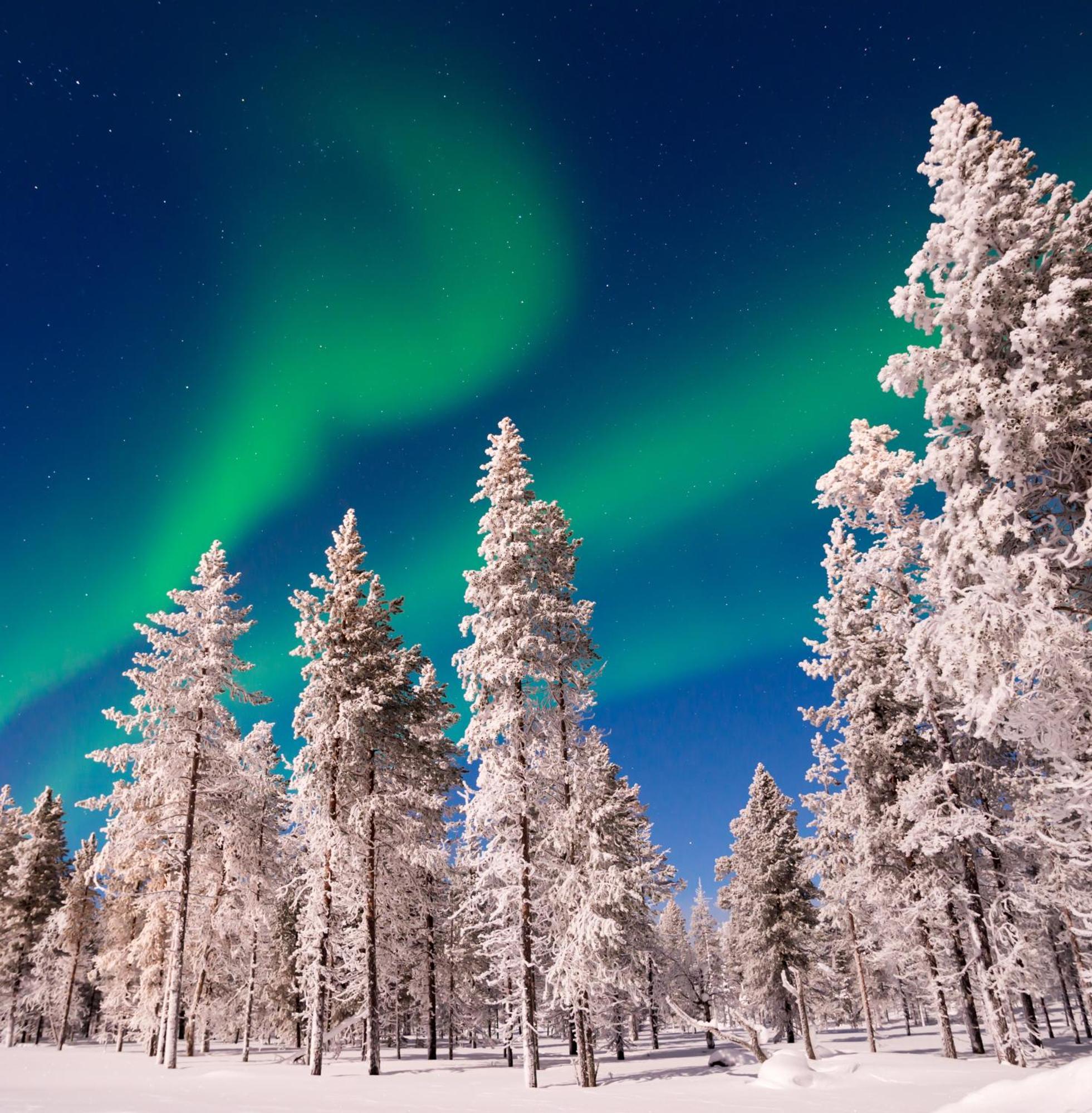 Skog Aurora Igloos Villa Kalix Bagian luar foto