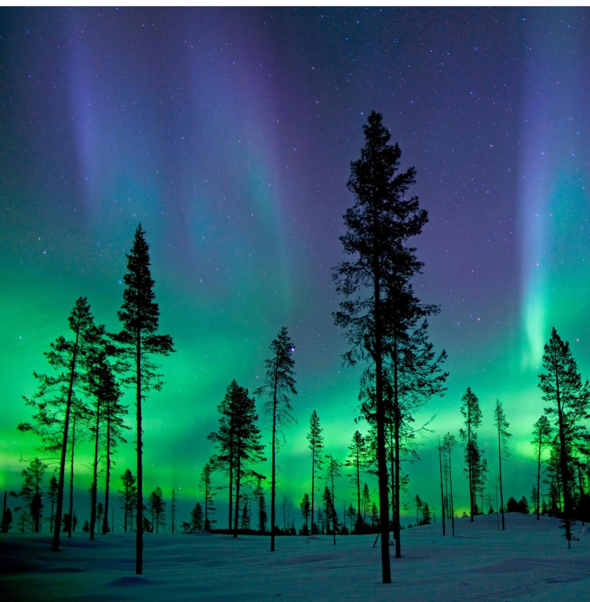 Skog Aurora Igloos Villa Kalix Bagian luar foto