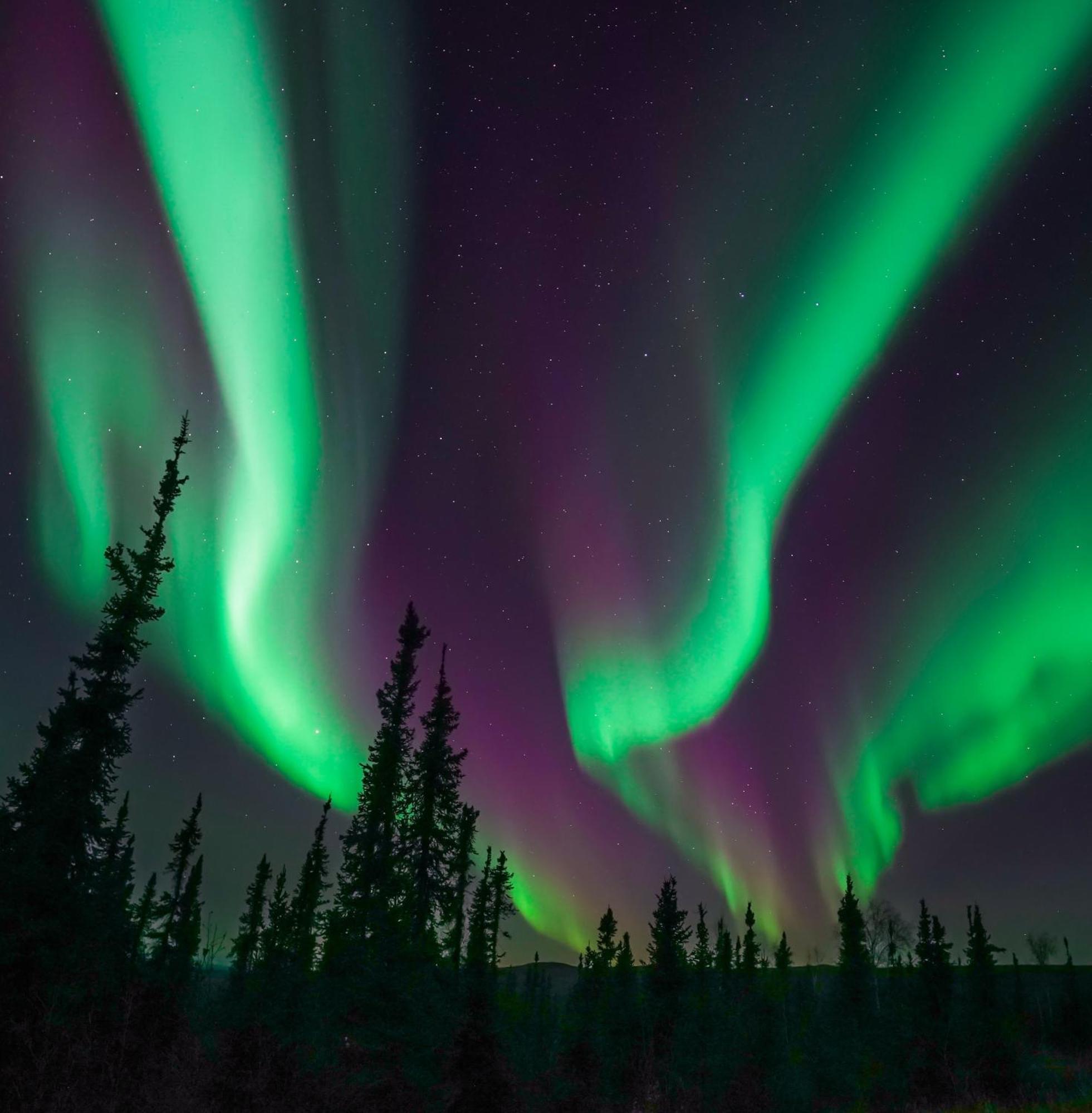 Skog Aurora Igloos Villa Kalix Bagian luar foto
