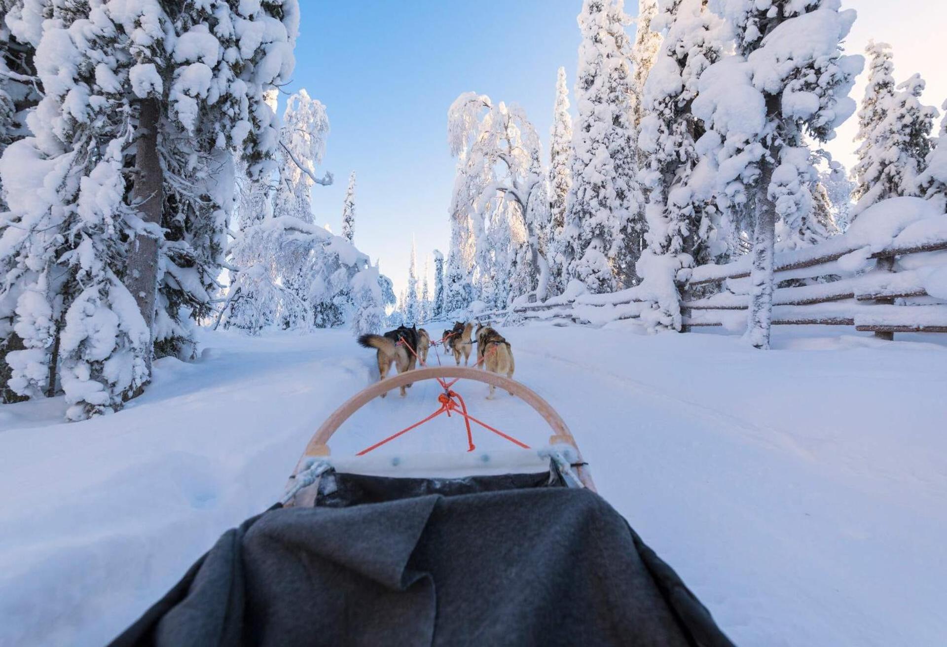 Skog Aurora Igloos Villa Kalix Bagian luar foto
