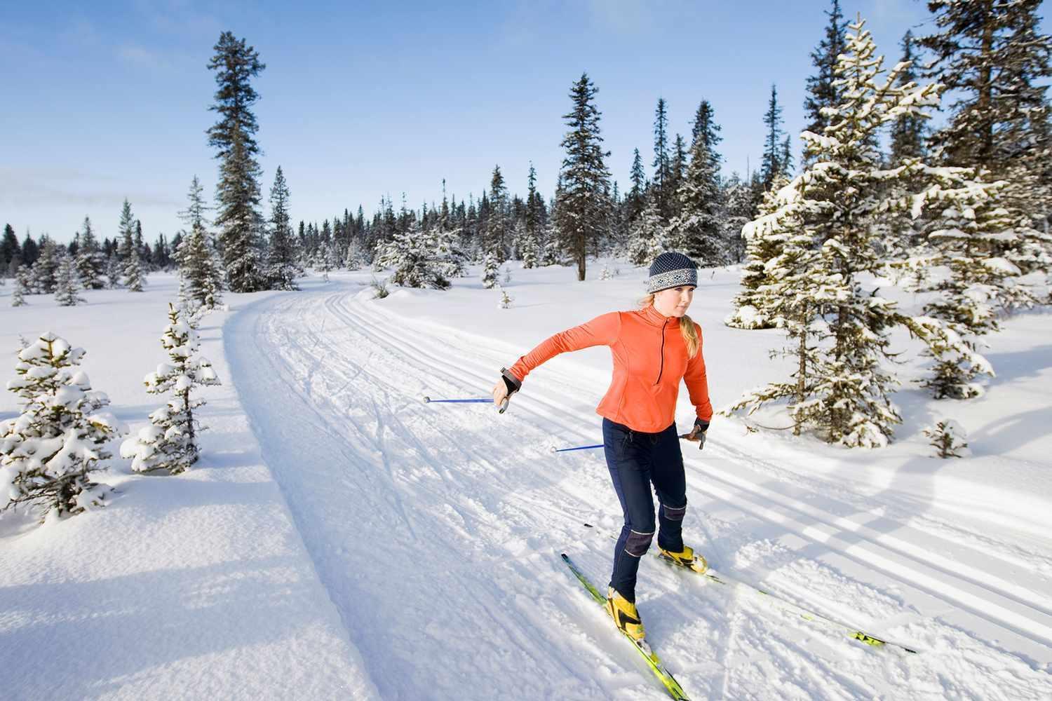 Skog Aurora Igloos Villa Kalix Bagian luar foto